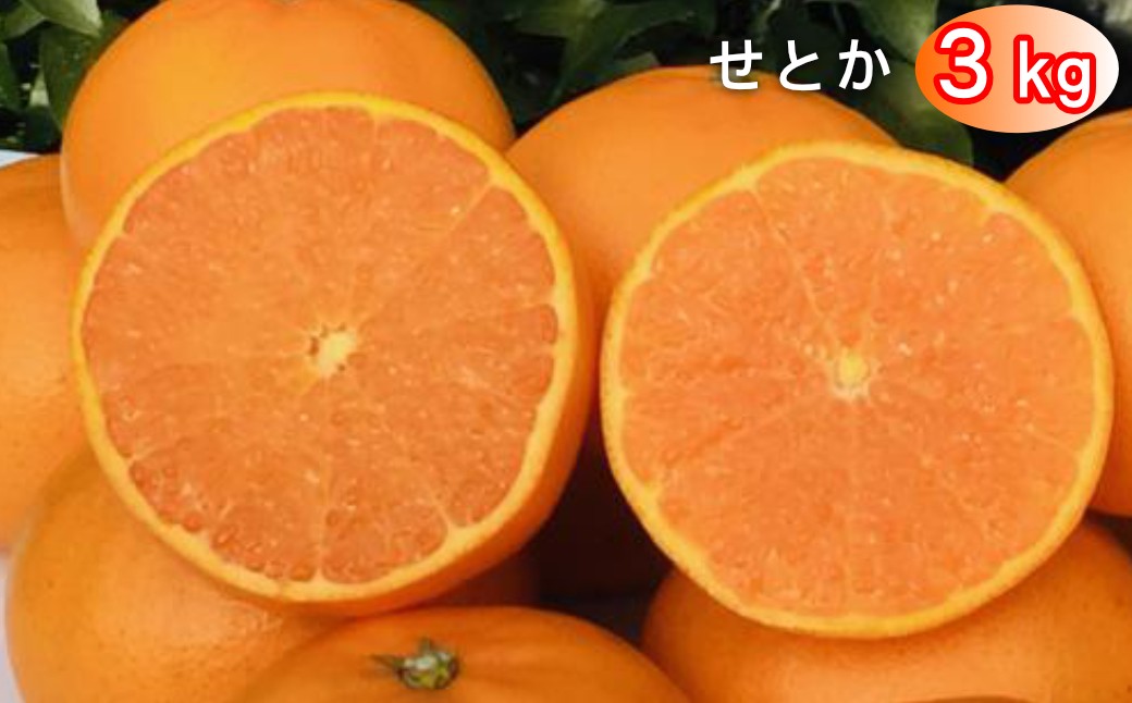 
                  太良町 山本農園の「せとか」 3kg
                