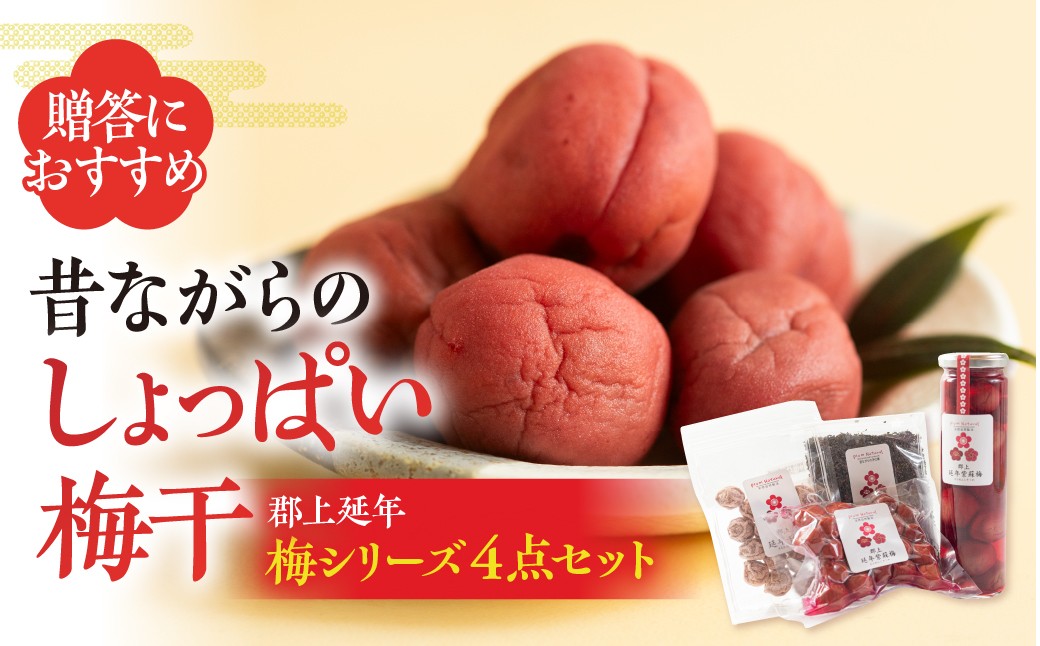 
【A-21】郡上延年梅シリーズ４点セット
