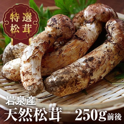 【2024年9月中旬～10月中旬発送予定】松茸マイスター厳選!旬の岩泉産松茸　250g(前後)【配送不可地域：離島・北海道・沖縄・関東・信越、北陸・東海・近畿・中国・四国・九州】【1516081】