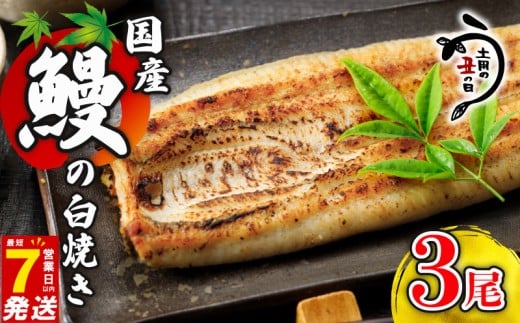＼最短7営業日以内発送／ 国産鰻 の 白焼き 国産うなぎ 3尾 半身 カット 国産 うなぎ ウナギ 鰻 炭火焼 炭火 うなぎ白焼き うな重 蒲焼 蒲焼き ひつまぶし 白焼 しらやき 人気 おすすめ 丑の日 贈り物 贈答 ギフト プレゼント 冷蔵 真空パック 送料無料 千葉県 旭市 川千家 kty006