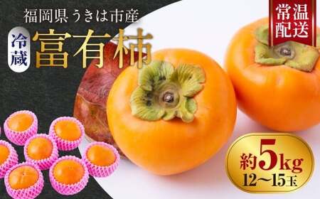【先行予約】西見柿農園 冷蔵富有柿 12玉から15玉 (約5㎏) 【2026年12月下旬-2027年1月下旬発送予定】 柿 かき カキ 果物 くだもの フルーツ 果実 ジューシー お取り寄せ 福岡県 うきは市
