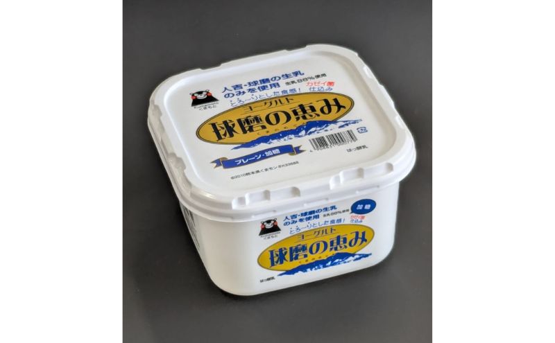 【amazon価格】ヨーグルト もっちり、とろ～りの2つに食感！　球磨の恵みヨーグルト ( 加糖タイプ ) 3kg 【配送不可：沖縄県、離島】