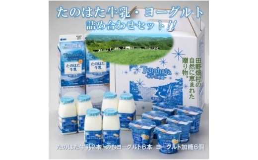 ～岩手県田野畑産の生乳を100%使用～　たのはた牛乳・ヨーグルトセット( TK-3)【1273687】