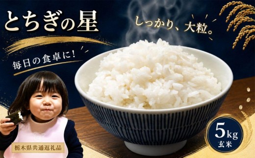 お米 令和8年産 とちぎの星 玄米 5kg【2026年 先行予約】 | 栃木県共通返礼品