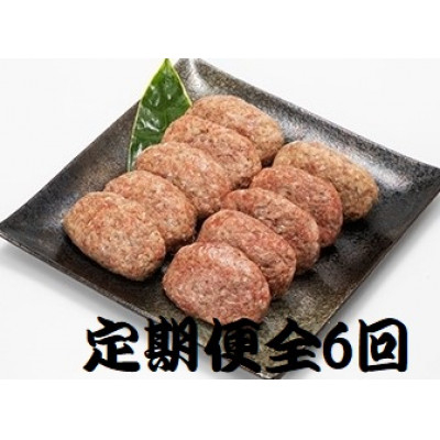 
＜2ヵ月毎定期便＞特選和牛(焼肉薩摩の完熟平野幸一之牛)ハンバーグ10個全6回【4050394】
