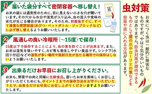 【12ヶ月定期便】白米 熊本県産 ブレンド米 肥後のめぐみ米 10kg 熊本県産 ふるさと納税 精米 米 こめ ふるさとのうぜい コメ お米 おこめ《お申込み翌月から出荷》