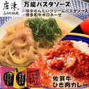 【ふるさと納税】佐賀牛ひき肉カレー(180g×3食)と万能パスタソース(博多めんたいクリームパスタソース120g×3袋・博多和牛ボロネーゼ120g×3袋)セット 簡単 レトルト スパゲッティ「2024年令和6年」