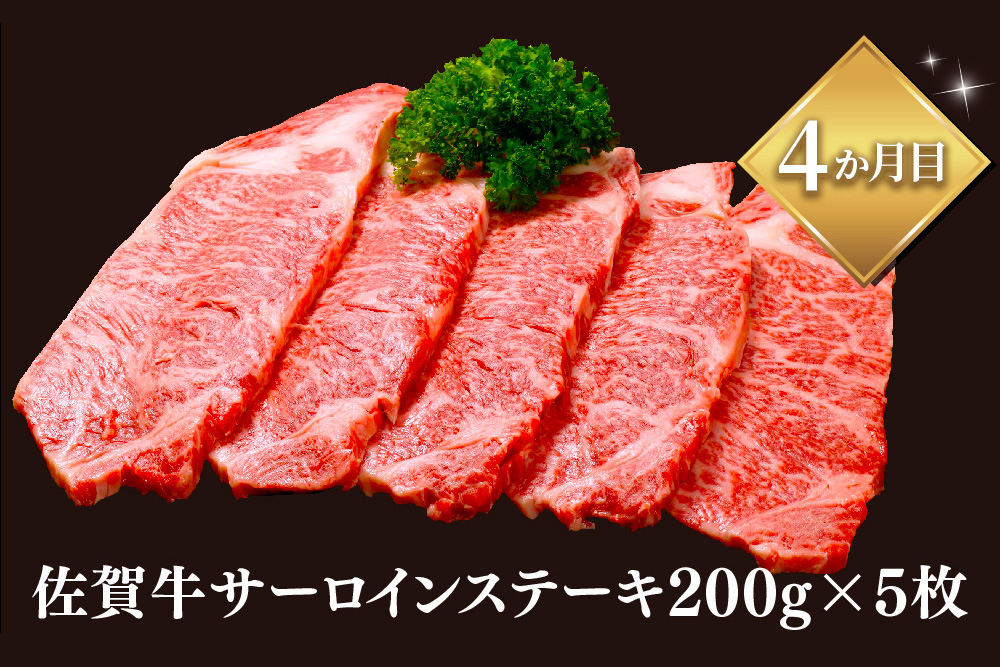 【レビューキャンペーン】【年末・数量限定 最短10日営業日以内発送】【5か月連続定期便】極上佐賀牛ヒレ・ロース堪能コース【割下 佐賀牛 ロース 霜降り 堪能 贅沢 肉 和牛 黒毛和牛 上品 甘み ヒレ