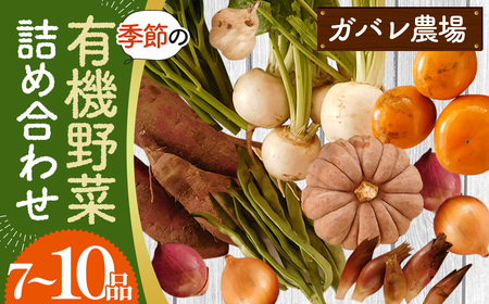 ガバレ農場の季節の有機野菜詰め合わせセット No.058