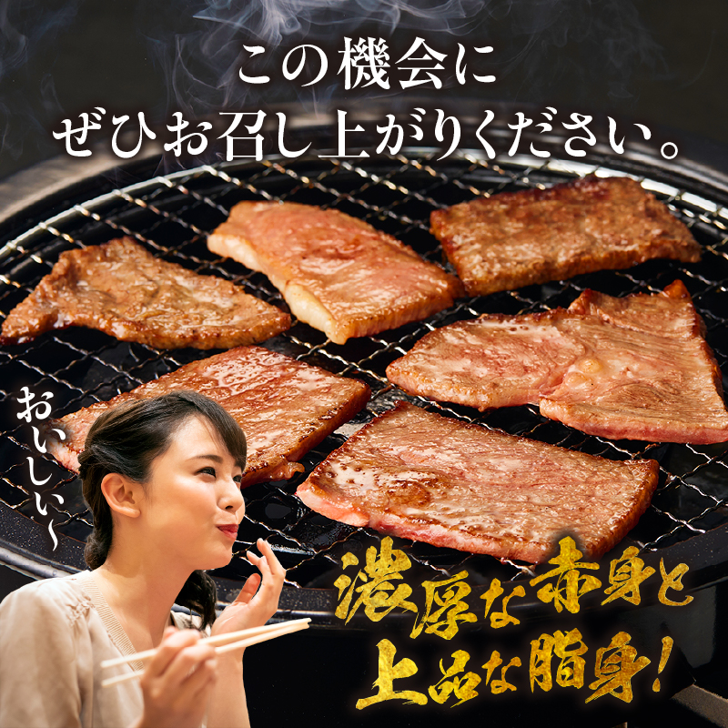 【美味しい宮崎牛専門店ミヤチクからお届け】A4等級以上 宮崎牛 訳あり 焼肉 バラエティパック 1.5kg