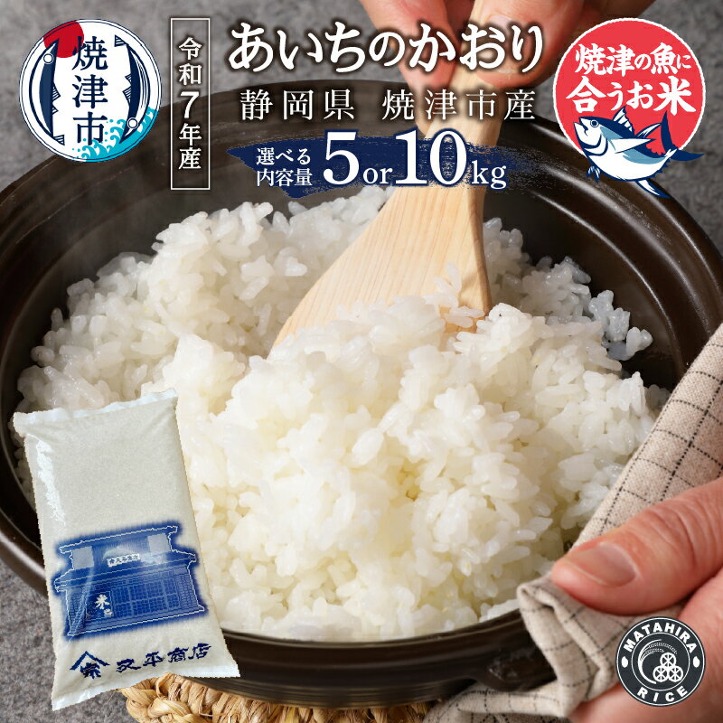【ふるさと納税】 【選べる内容量】 米 白米 令和7年産 あいちのかおり 5kg 10kg (5kg×2) 老舗米屋 5つ星お米マイスター 厳選 焼津の魚に合う ごはん 焼津 a13-127 a26-028