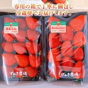 【予約受付】 いちご あまりん +農場長おすすめ品種 560g (280g×2P) 苺 食べ比べ イチゴ ストロベリー 産地直送 ご当地 果物 くだもの フルーツ デザート ふるさと納税3.0 食品 