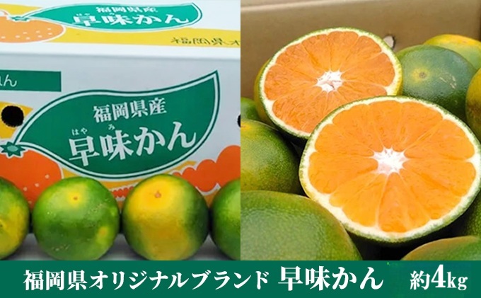 福岡限定 オリジナルブランド みかん「早味かん」約4kg【配送不可：離島】