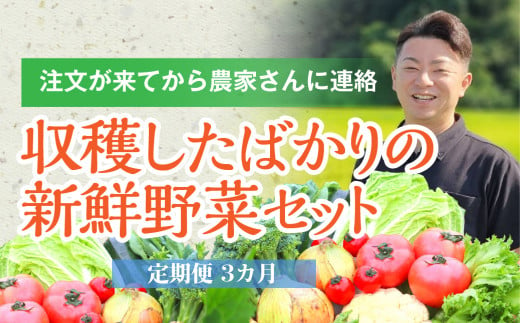 【定期便/3か月】注文が来てから収穫発送！収穫したばかりの新鮮野菜セットお試しコース 《7～8品》  季節のお野菜 おまかせ お楽しみ 獲れたて産地直送 旬 鍋 冬野菜 ベジタブル ヘルシー 健康 詰め合わせ 一関市