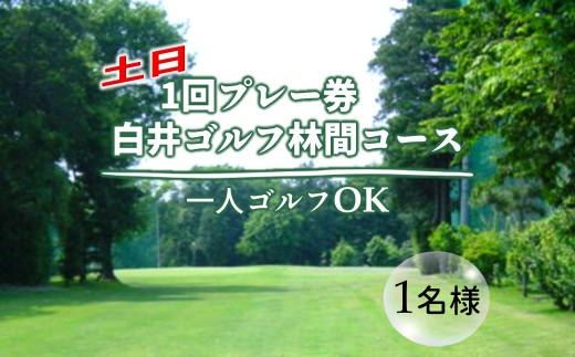 ゴルフプレー券 白井ゴルフ林間ショートコース 土日1回プレイ 1名様ご利用券