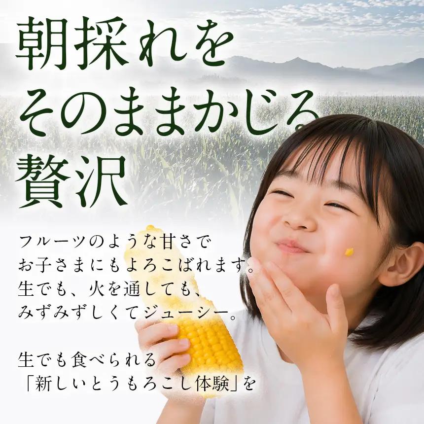 生で食べられる極上の 八ヶ岳 生 とうもろこし 10本入り【2026年7月中旬～発送】| ハマラ