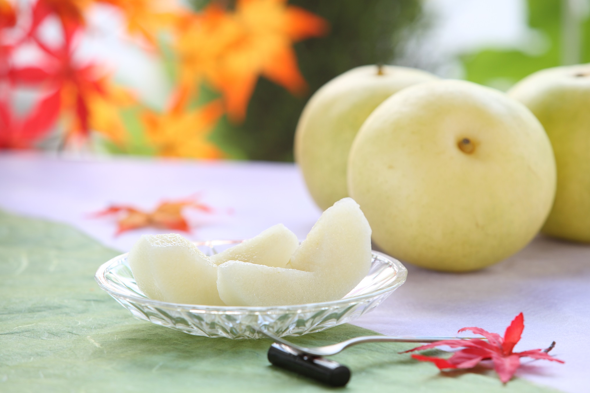 【南信州産】 20世紀 秀品約5kg（8玉～16玉）＜9月上旬から順次発送＞