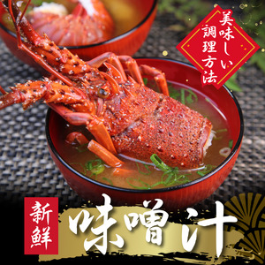 伊勢海老セット[D]　【 伊勢海老 いせえび 】