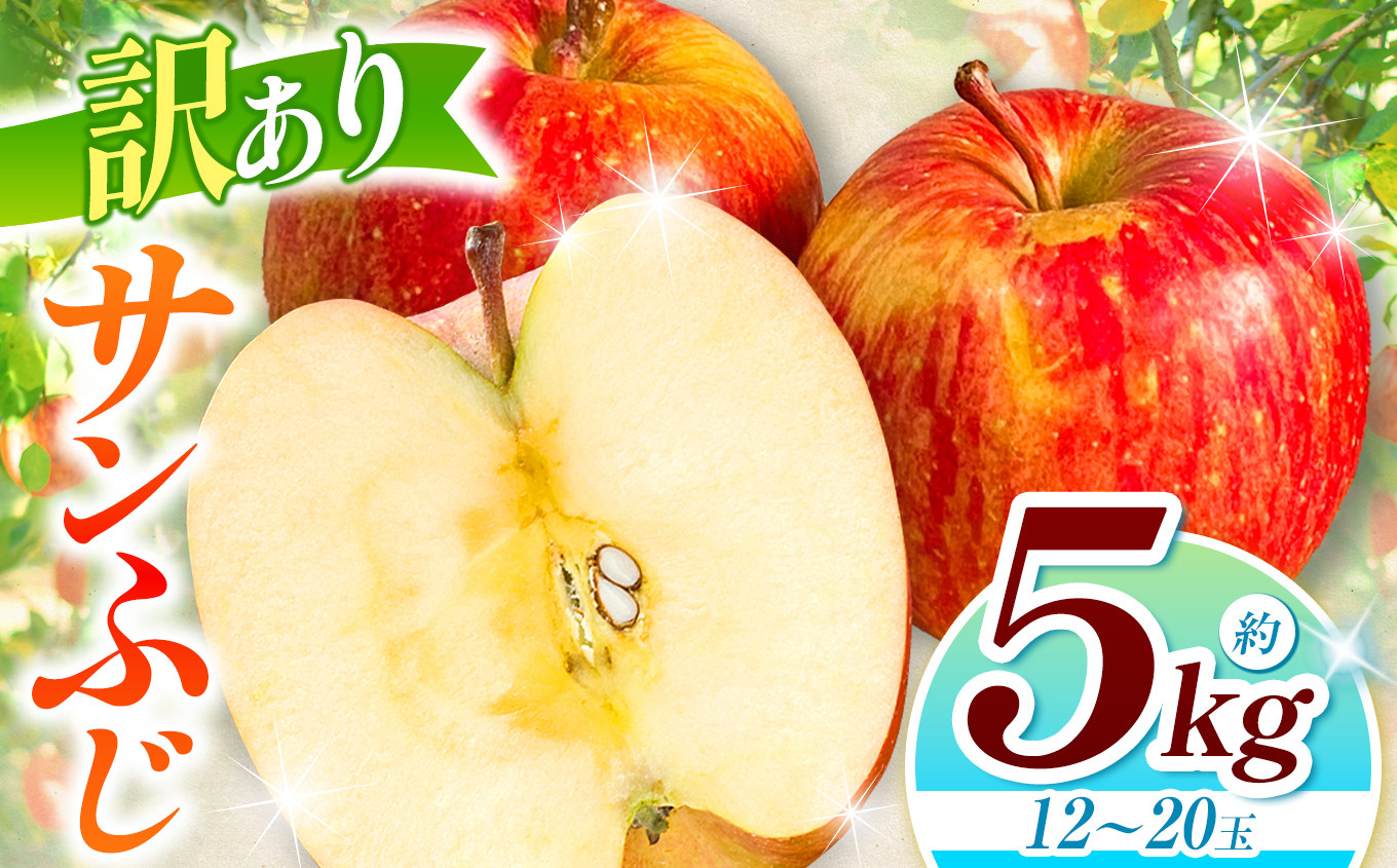 
            訳あり サンふじ 約5kg ｜ 浅野農園 リンゴ りんご 林檎 果物 くだもの フルーツ 果実 果汁 訳あり サンふじ 長野県 松川村 信州 北アルプス
          