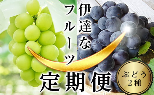 
            ＜2025年秋から開始の定期便＞伊達なフルーツ定期便（ぶどう2種）果物 フルーツ 葡萄 ブドウ 福島県 伊達市 F20C-477
          