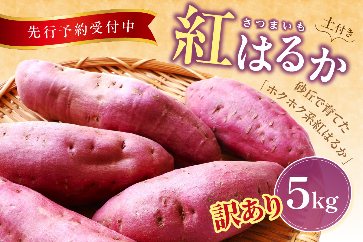 【先行予約／数量限定100】訳あり 京丹後産 土付き 紅はるか（さつまいも） 5kg（2025年11月上旬～発送） ご家庭用（優品・無洗・無洗別・特大込み）　HF00010