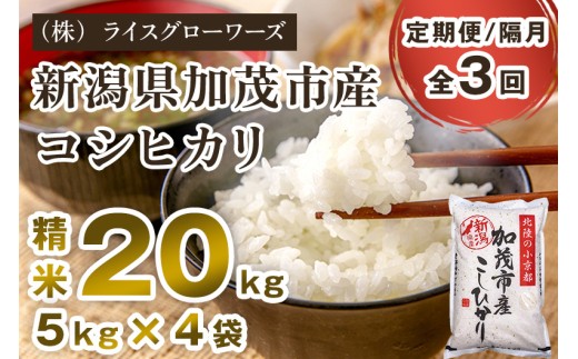 【令和7年産】【定期便3回隔月お届け】新潟県加茂市産コシヒカリ 精米20kg（5kg×4）《順次出荷》 新潟県産コシヒカリ 新潟産コシヒカリ 新潟コシヒカリ 新潟県産こしひかり 新潟産こしひかり 新潟こしひかり コシヒカリ こしひかり お米 白米 米 定期便 （株）ライスグローワーズ