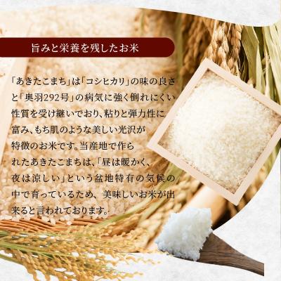 ふるさと納税 大館市 【令和7年産】秋田県大館産あきたこまち　10kg(5kg×2) |  | 01