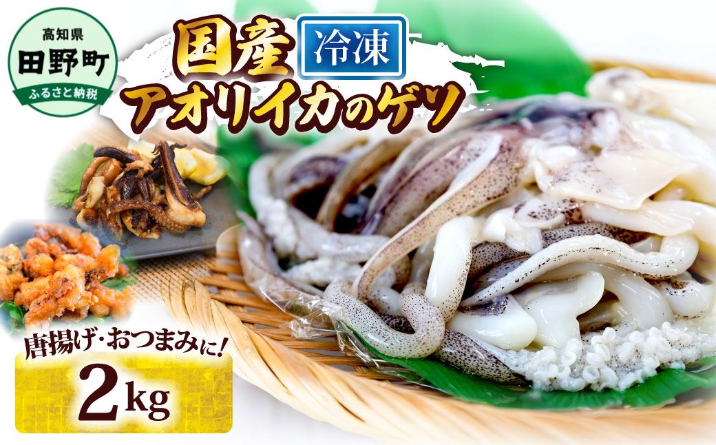 イカの王様★アオリイカのゲソ 2kg アオリイカ ゲソ 500g×4パック 2000g 2キロ イカ いか 烏賊 魚介類 げそ いかげそ 焼き 唐揚げ おつまみ 美味しい 柔らかい