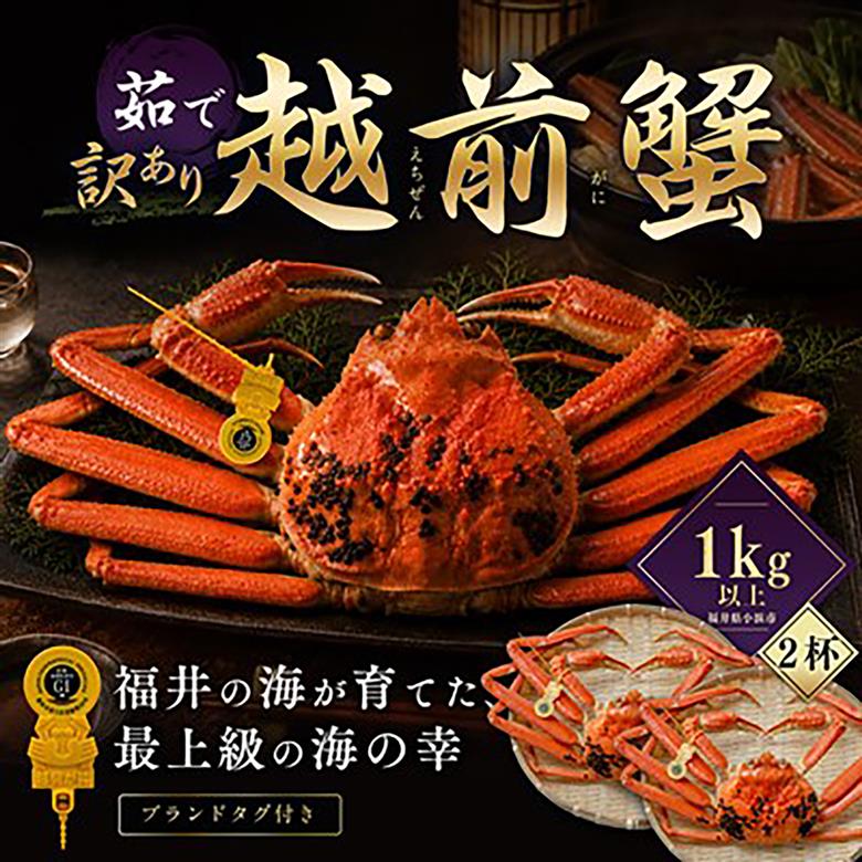【先行予約/11月18日より順次配送】【訳あり】越前がに 1kg×2杯 茹で 福井県産ズワイガニ 脚折れ・欠け / かに カニ 蟹 越前ガニ ズワイガニ ボイル / 小浜市 / 一進わかさ【配送不可地