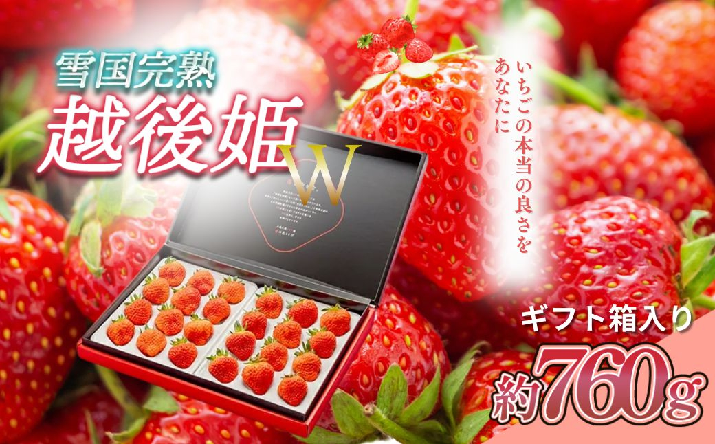 
雪国完熟越後姫ダブル（約760g）ギフト箱入り　
