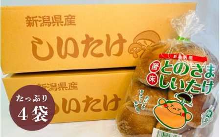 とのさましいたけ(生しいたけ) 1kg (250g×4袋) 福田農産株式会社五泉工場