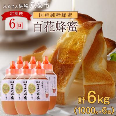 ふるさと納税 八女市 【毎月定期便】かの蜂 国産 百花蜂蜜 合計6kg(とんがり容器1kgを毎月1本お届け) 八女市全6回
