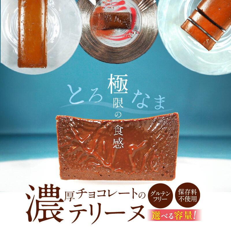 【ふるさと納税】濃厚 チョコレート テリーヌ 選べる 容量 約 200g 600g グルテンフリー 保存料不使用 手づくり 甘すぎない なめらか ショコラ スイーツ デザート ケーキ 専門店 冷凍 お取り寄せ お取り寄せスイーツ 愛知県 碧南市 送料無料