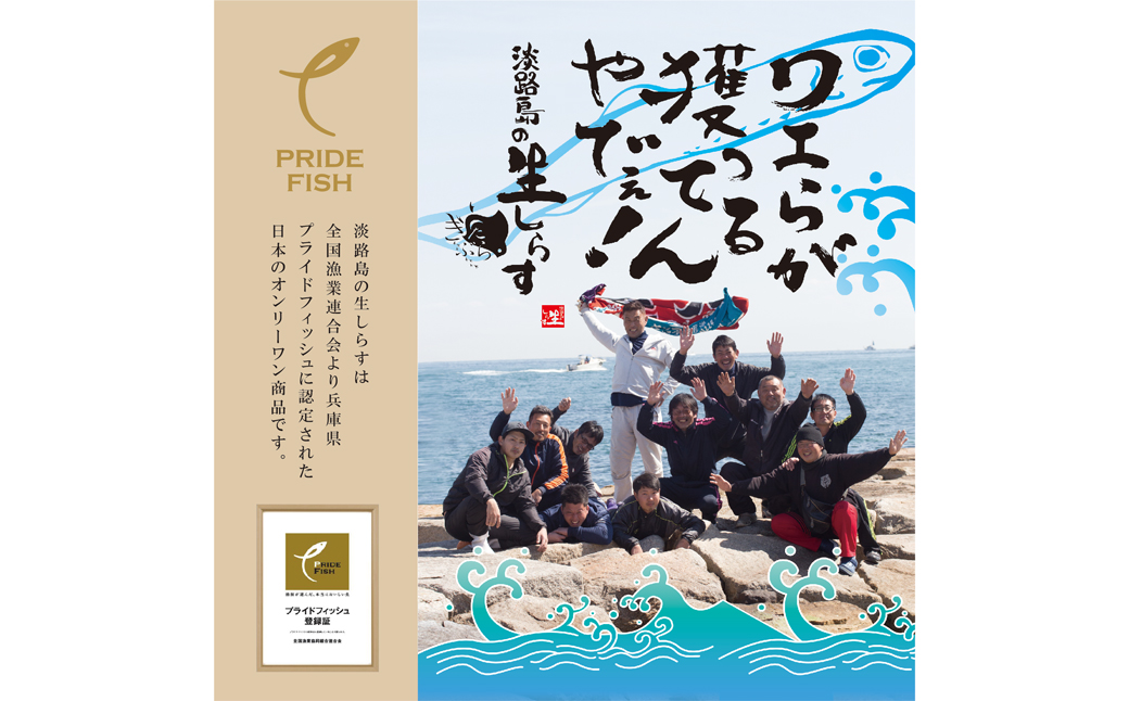 淡路島の生しらす沖漬け(50g×10パック入)