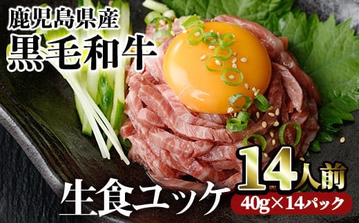 
										
										鹿児島県産黒毛和牛ユッケ14人前(40g×14パック) 国産 ユッケ 黒毛和牛【カミチク】A490-v01
									