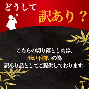 訳あり 近江牛 切り落とし 500g ( 訳あり近江牛 黒毛和牛近江牛 訳あり 牛肉近江牛 250g×2パック 訳あり 肉近江牛 ギフト近江牛 自宅用 高級近江牛 黒毛和牛 近江牛 ブランド和牛近江牛