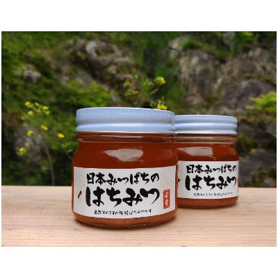 ふるさと納税 唐津市 日本ミツバチの純粋はちみつ 480g