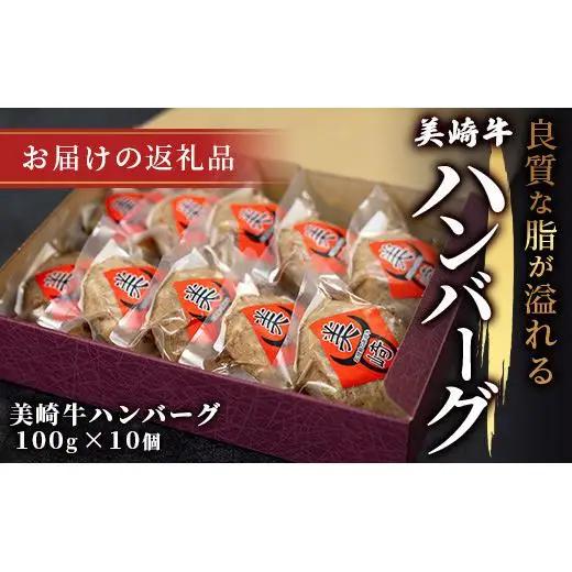 美崎牛ハンバーグ 100g×10個　 O-6