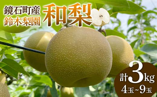 
            鏡石町産 和梨 3kg（4玉～9玉） なし ナシ フルーツ 果物 福島県 鏡石町 F6Q-121
          