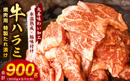 牛肉 ハラミ 900g 小分け 300g×3P