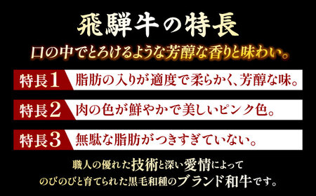 飛騨牛 焼肉用 カルビ 1kg 瑞浪市 / 肉のひぐち 国産 ブランド牛 和牛[AZDE004]