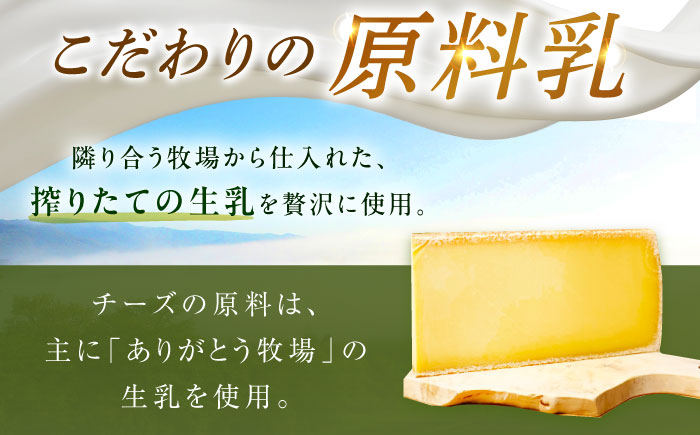 チーズ ナチュラルチーズ ハード 生乳 ミルク 乳製品 おつまみ ギフト 北海道