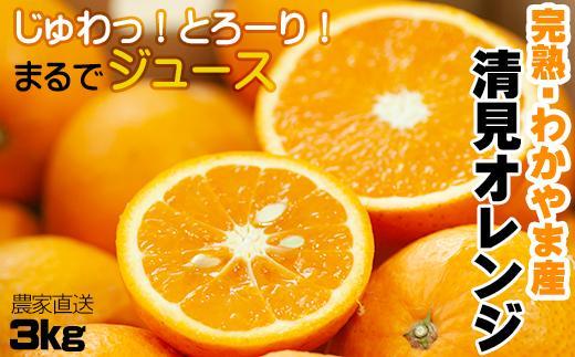 清見オレンジ 3kg 混合サイズ 樹上で完熟させた果実を 和歌山県 海南市 鈴木農園より農園直送