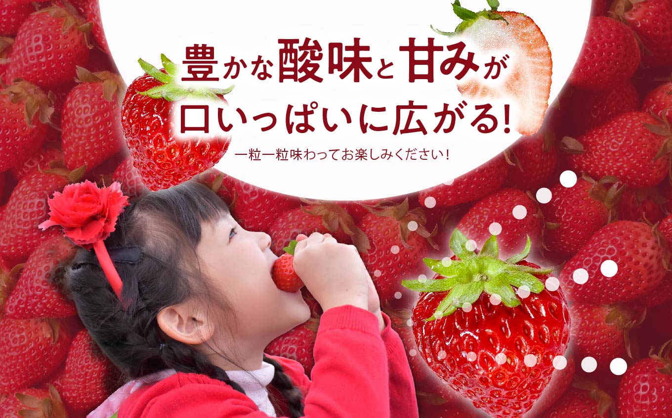 《2026年1月3日～5月23日開園》いちご狩りペア入場チケットいちご狩りペア入場チケット いちご ストロベリー いちご狩り 苺 イチゴ フルーツ 果物 おすすめ お中元 お歳暮 ギフト 二本松市 ふ