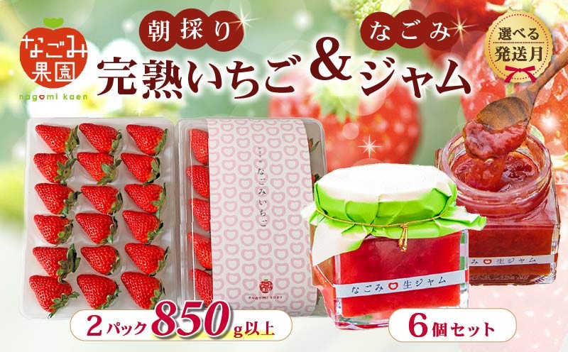 
                  【先行予約／選べる 発送月】いちご 1月 3月 4月 完熟いちご 紅ほっぺ 2パック 850g 以上 無添加 なごみ ジャム 6個 セット 朝採り 朝採れ 完熟いちご フルーツ 果物 新鮮 完熟 旬 イチゴ ジャム ストロベリー パン 朝食 土耕栽培 季節限定 静岡県産 なごみ果園 伊豆 下田 贈答 ギフト 産地直送
                