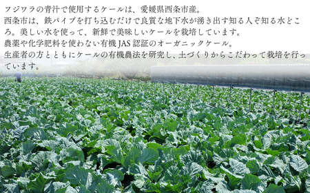 フジワラの青汁　粉末タイプ（30包入）×６箱｜ 有機ケール 国産