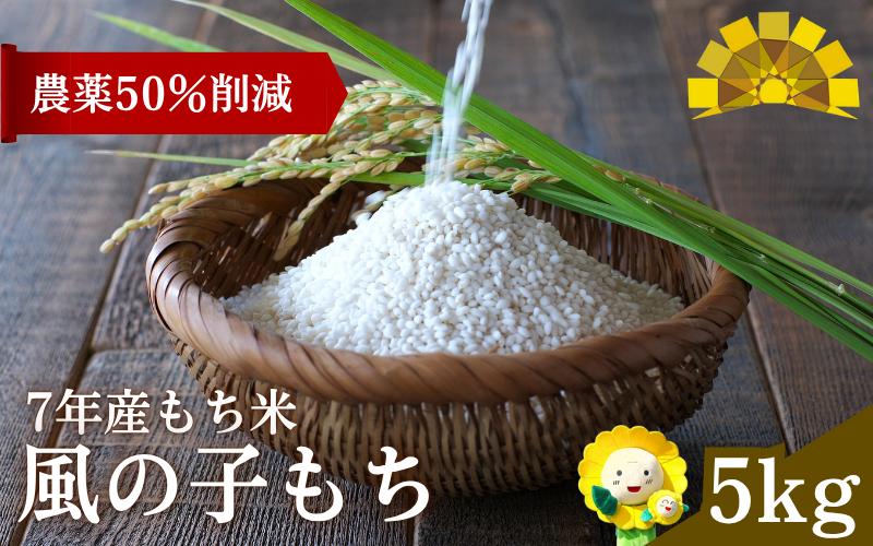 【令和7年産もち米】風の子もち 5kg 北海道北竜町産【sun408-mochi-5-R7】