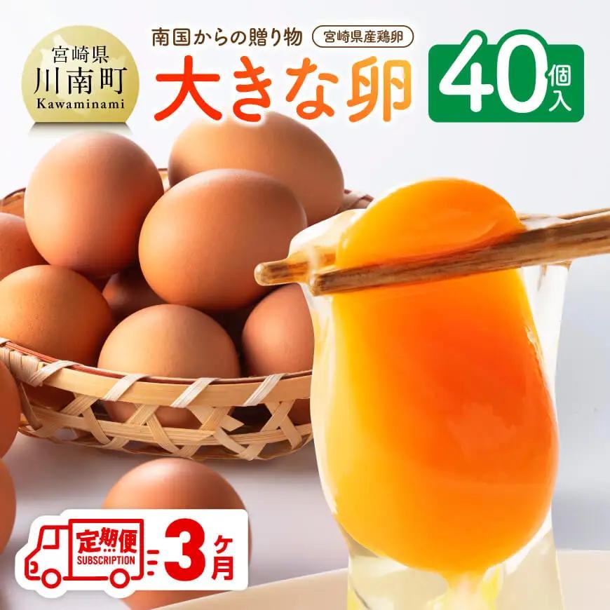 【3ヶ月定期便】 宮崎県産鶏卵 「南国からの贈り物」大きな卵40個入り（35個+破損補償5個）【たまご 卵 玉子 タマゴ】