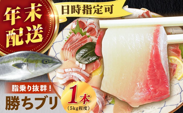 
                  【年内発送】【12/27～12/31にお届け】【着日時指定必須】 養殖 勝ち ブリ 1本 （約5kg） ぶり ブリ 鰤 ぶりしゃぶ 刺身 鮮魚 海鮮 魚 五島 五島列島 しゃぶしゃぶ 国産 新鮮 養殖 鍋 海鮮鍋 年末 正月 年内配送 年内発送 12月【カミティバリュー】 [RBP053]
                