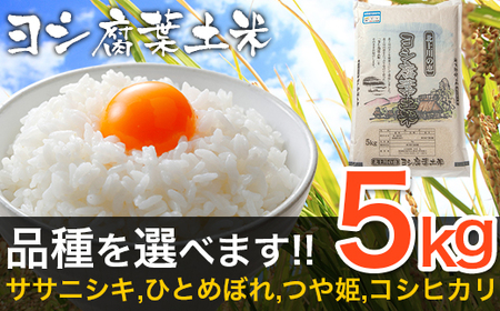 令和6年産 ヨシ腐葉土米 特別栽培米 ササニシキ （精米5kg）節減対象農薬：栽培期間不使用